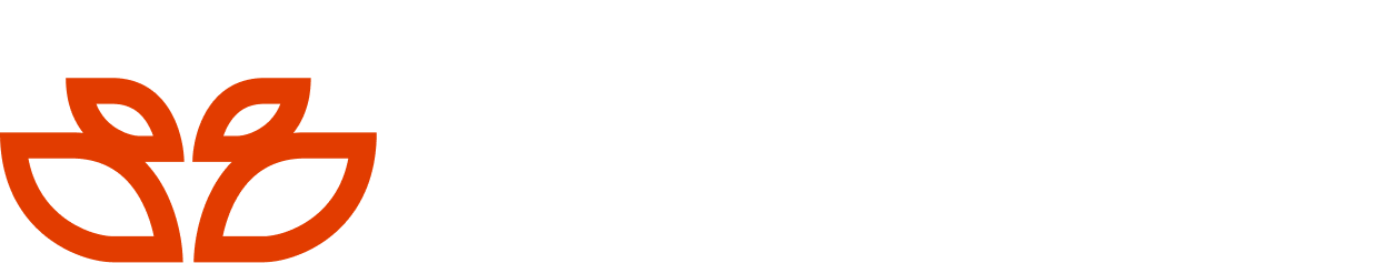 Dumbsoft logo